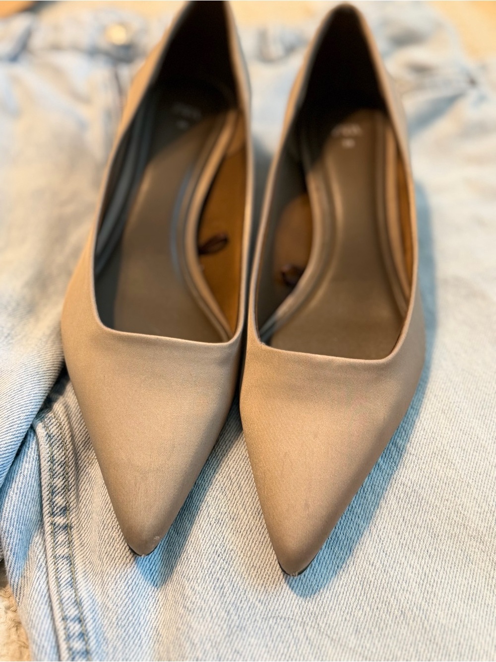 Zara Pointed-Toe Heels in Taupe Nude